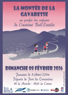 Affiche_GAVARESSE